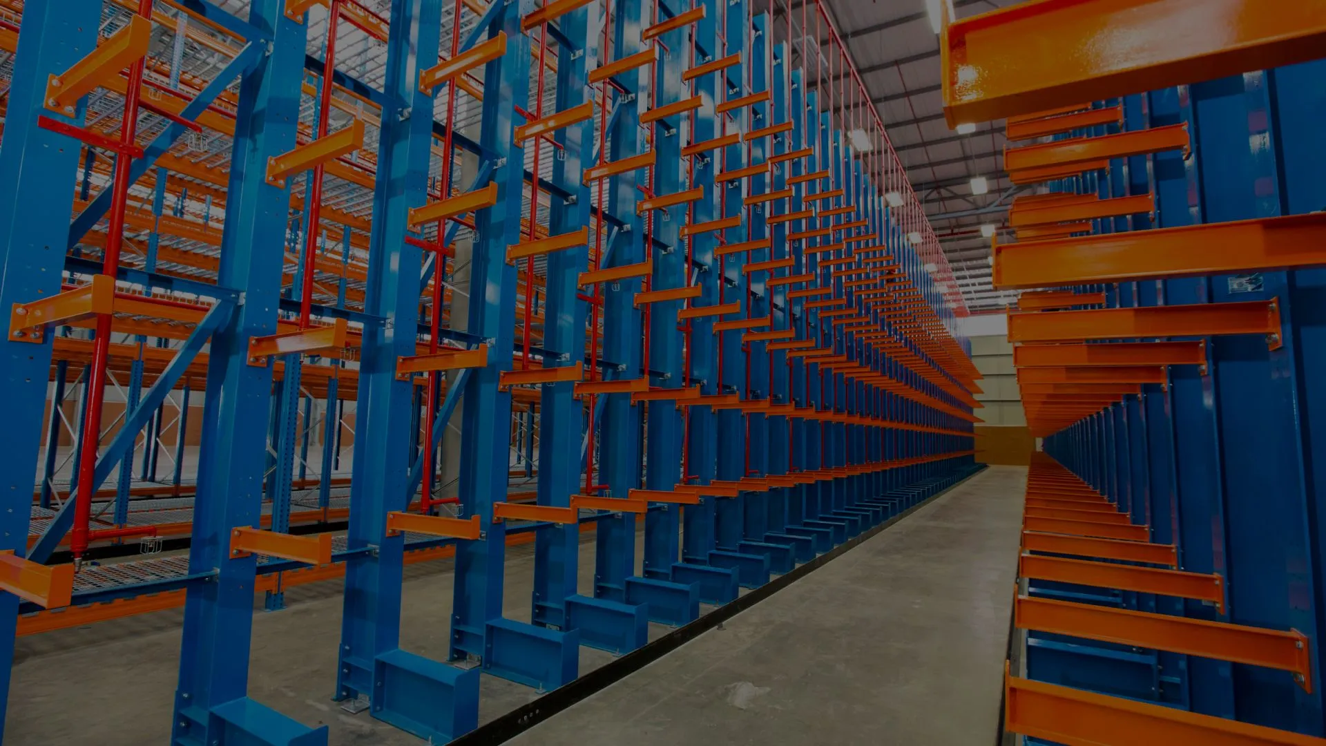 Molomo NR | Trading and projects